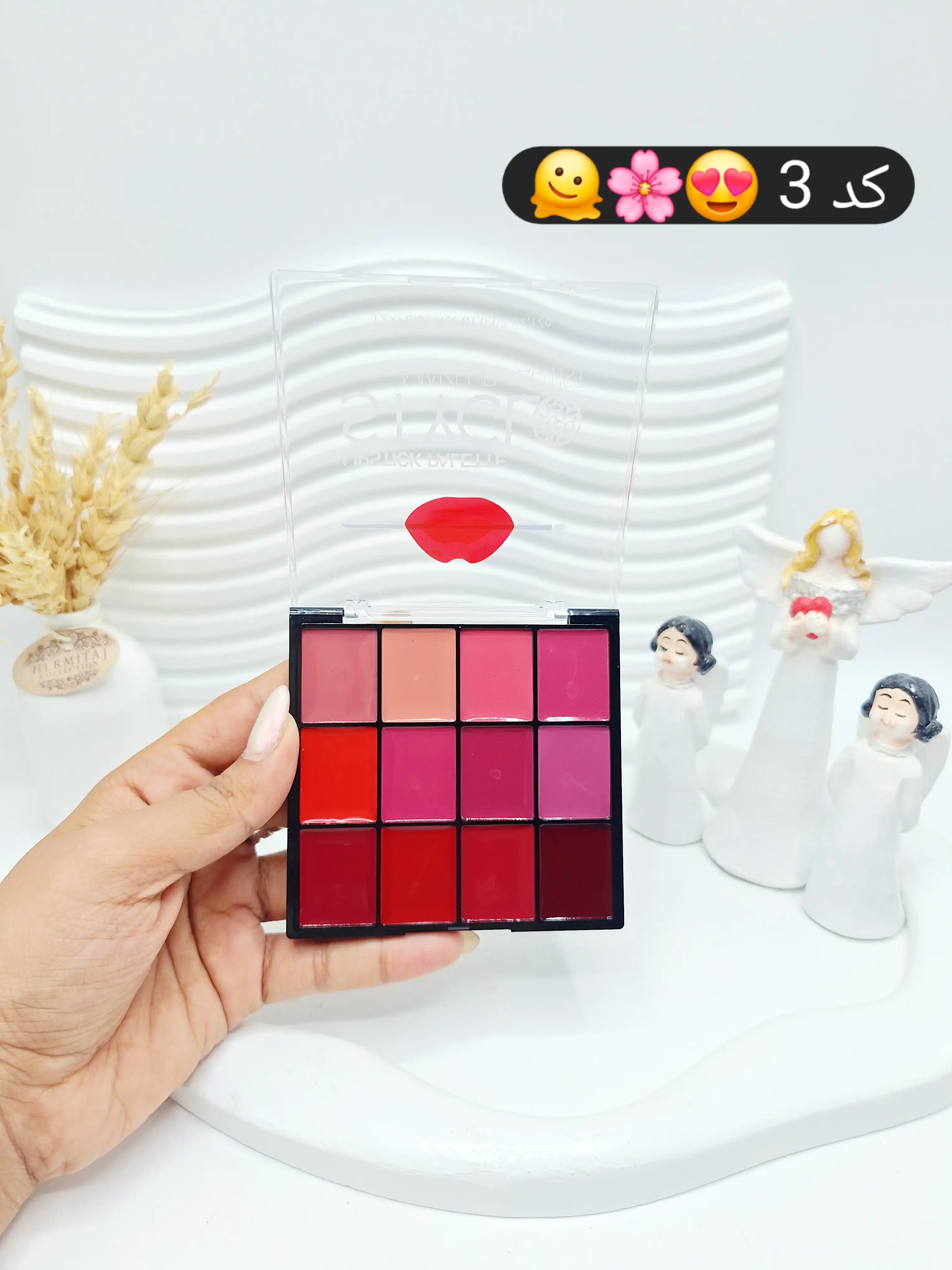 پالت رژ لب 12 تایی خوش رنگ برند STYGLO کد 1302